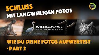 Wieso deine Fotos langweilig sind Teil 2 - 5 weitere Tipps zum Aufwerten deiner Aufnahmen