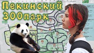 ПЕКИНский ЗООПАРК!!! Остались БЕЗ денег!!! Самостоятельно добрались до аэропорта и ДОМЙ на S7