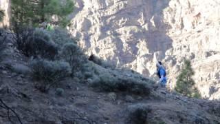 The North Face TransGranCanaria 2012 -  Race Report