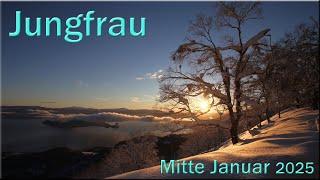  Jungfrau - Mitte Januar 2025   -  Den Bogen überspannt  -