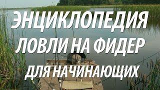 КАК ЛОВИТЬ НА ФИДЕР. ЭНЦИКЛОПЕДИЯ РЫБАЛКИ НА ФИДЕРНУЮ СНАСТЬ