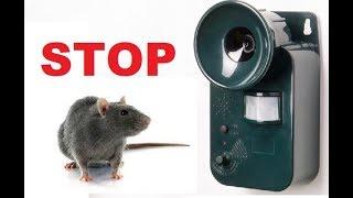 drive away sound mice - keep rats and rodents away