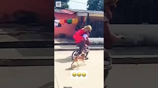 Dog and Humans With a Bike - By @mingojftv (tt) #funny #comedy