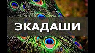 Экадаши — вайшнавский пост  Шрила Бхакти Бимал Авадхут Махарадж (Георгий Аистов)