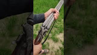 12 Bore Gun