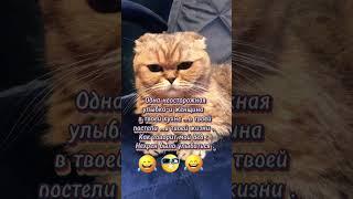 #смейсядослез #лайки#ржунемогу