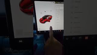 Tesla Sentry Mode Instant Replay.