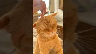 He Was Locked On By A Hunter 