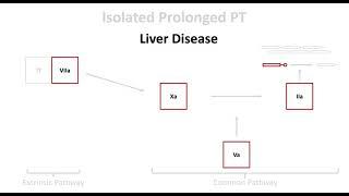 The Prolonged PT