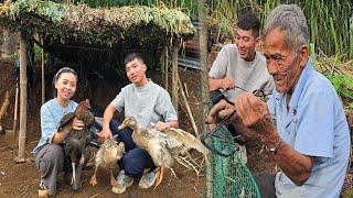 Tạo một khu vườn chăn nuôi lớn: Liệu Tuấn có chiếm được tình cảm của ông nội?