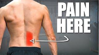 Lower Back Pain Cause, Stretches & Exercises