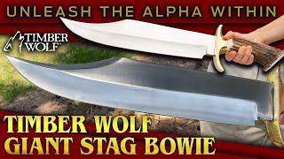 BUDK:  The Timber Wolf King Stag Antler Crown Knife packs a punch!