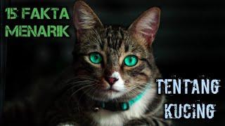 15 FAKTA MENARIK TENTANG KUCING