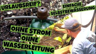 Blumat ! Pflanzen gießen leicht gemacht | Automatische Pflanzenbewässerung ohne Strom  | Tutorial