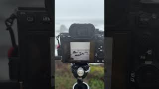 Black and White Long Exposure at the Sonoma Coast #pov #photographer