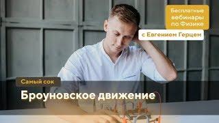 Броуновское движение | ОГЭ Физика | Евгений Герц