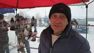 Часть 1 Ярмарка голубей и декоративных птиц Харьков 02.02.2019