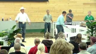 Jordan Markegard | Fillmore County | Market Swine
