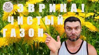 ГАЗОН без СОРНЯКОВ  - это ПРОСТО! Нашёл СУПЕР-СРЕДСТВО! ГЕРБИЦИДЫ избирательного действия!