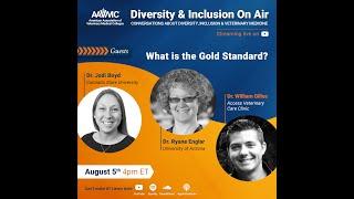 Diversity and Inclusion on Air: What is the Gold Standard?