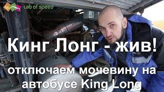 Нечто королевской длины, или Кинг Лонг - жив