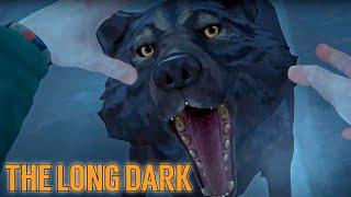 The Long Dark Нападение ВОЛКА ! Тайник на мосте в Милтоне ! #9