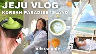 JEJU VLOG ️ 5 days on the Korean Paradise Island (best restaurants, jeju food, seogwipo)