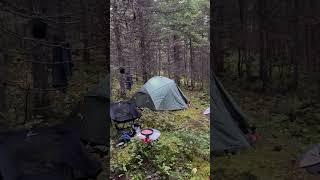 A MOSS CAMP ️ #outdoorcamp #vegetation #hiking #mountains #backpacking #nature #wilderness