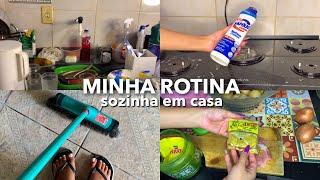 ROTINA EM CASA SOZINHA | faxina em casa + almoço