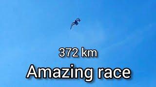 SUPER ARRIVALS from 372 km! Best Racing pigeons!!