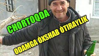 Chortoqda odamga òhshb òtiraylik