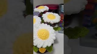 #shortvideo #daisy#handmade