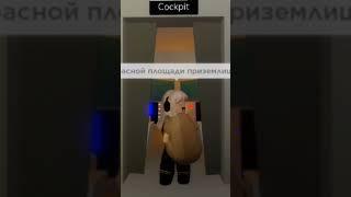 #roblox #роблокс #brookhaven #брук #самолет #юмор Случай в самолёте