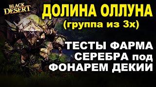 ОЛЛУН (ФОНАРЬ ДЕКИИ) - 800кк в час? Тесты фарма серебра в БДО (BDO-Black Desert)