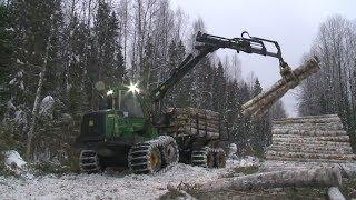 Лес: предприятие «Вожега-Лес»