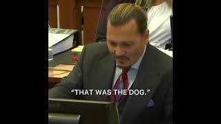 Johnny Depp dealing with Amber Heard’s Lawyers Part 6 | Is this a real court case?!?!