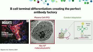 MIT HEALS Launch: Immunology breakout session