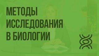 Методы исследования в биологии. Видеоурок по биологии 5 класс