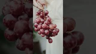 Why You Should Eat Grapes Every Day:Nutrition and Health Explained #fruit #grape