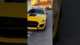 Новый цвет Mustang GT 2024 Yellow Splash #автомобиль #short #fordmustang