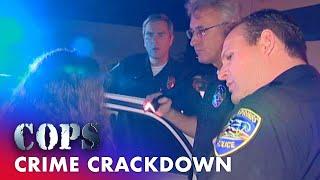  Crime Crackdown: High-Speed Chases And Stolen Vehicles | Cops TV Show