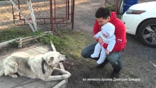 Дмитрий Бивол в молодости. Большое интервью будущего чемпиона!