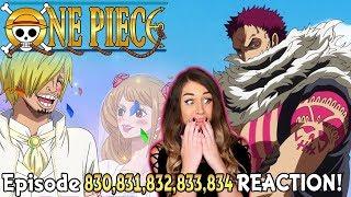 KATAKURI'S BOUNTY! TEA PARTY TIME! One Piece Episode 830, 831, 832, 833, 834 REACTION!