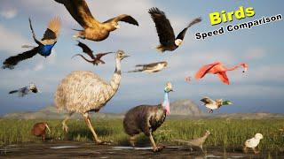 Birds Speed Comparison in 3D | Most Fastest birds | Fictional | Extinct birds | dragons