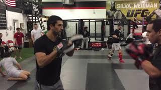 Boxing striking mitts at Longo and Weidman academy