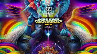 June 2023 Progressive Psytrance DJ Mix