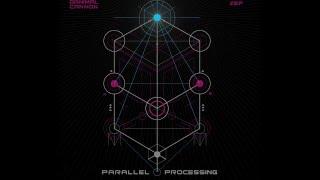 Danimal Cannon & Zef - Parallel Processing