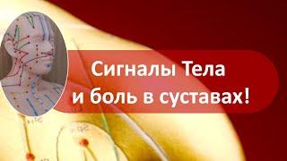 05 Сигналы тела и проблемы суставов 08