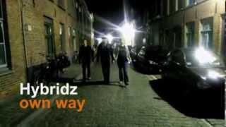 hybridz- own way