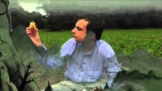 Matt Tucci - Tendrils (Basement Tapes) Cleaned